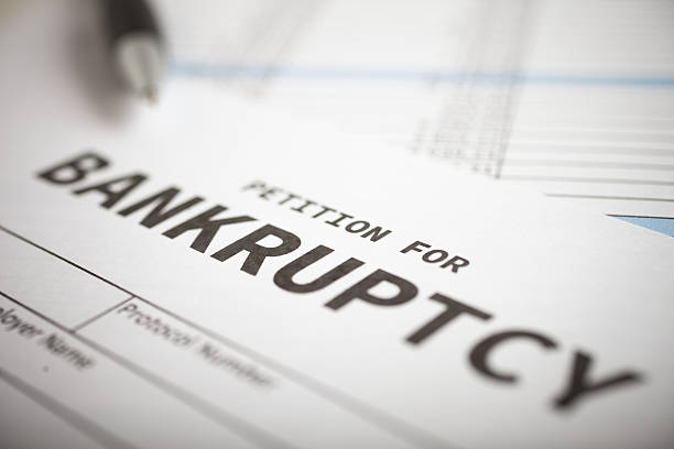 Petition for Bankruptcy Document