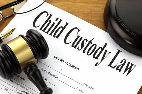 Child Custody Law Document